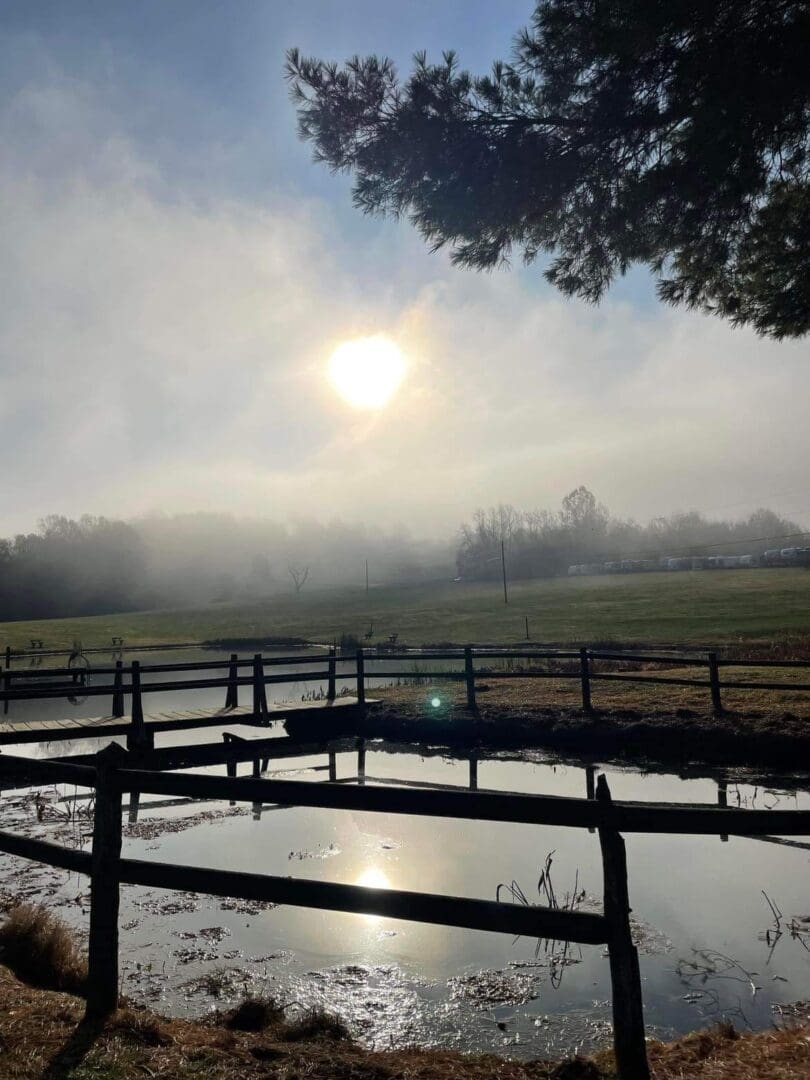 Sunrise over a misty landscape with a pond in the foreground, bordered by a wooden fence. A tree branch extends from the top right, casting a shadow on the water.